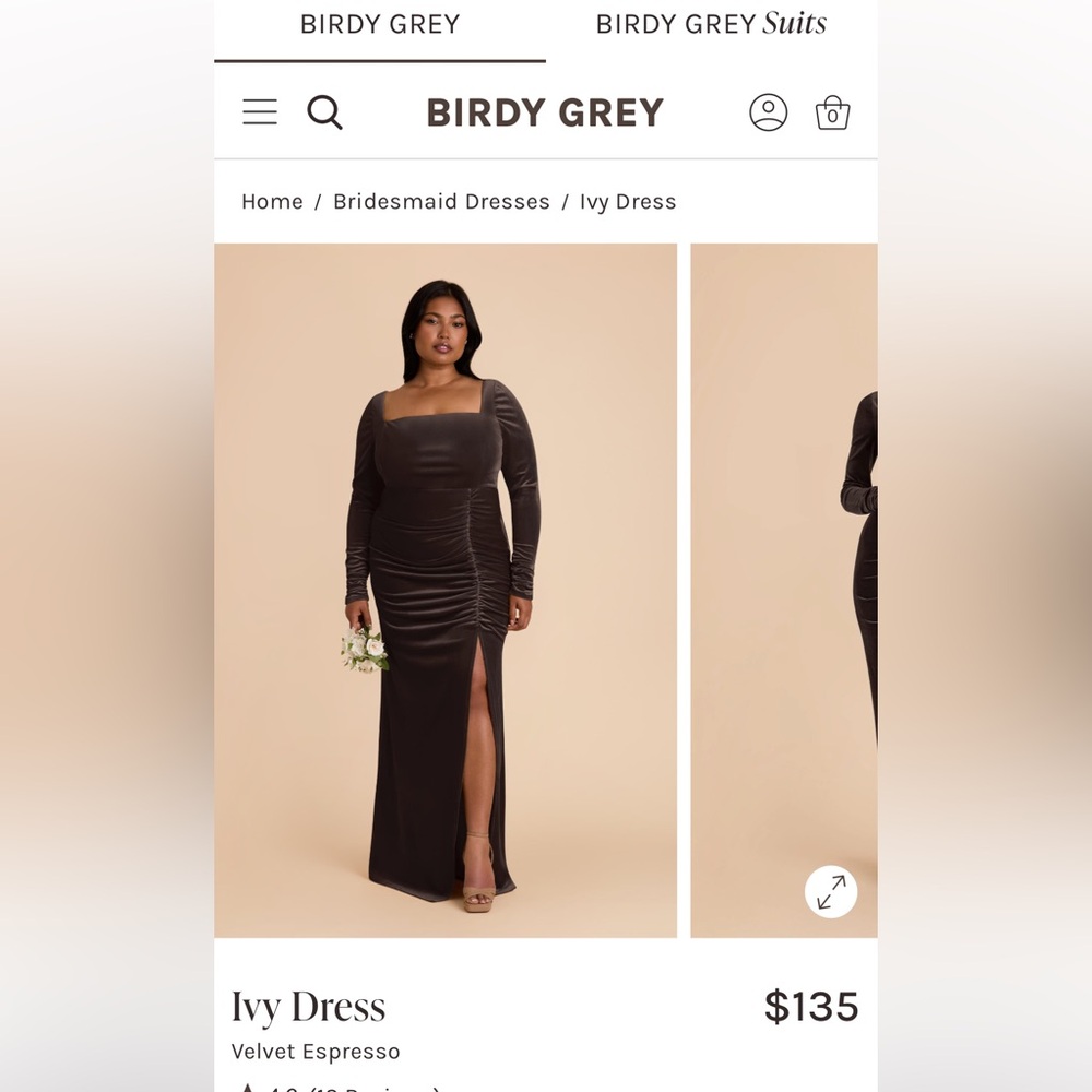 Birdy Grey Velvet Espresso Long Sleeve Dress